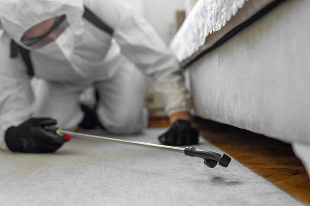 Professional Ant Control technician working in La Paloma, TX