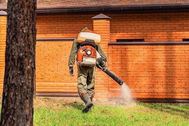 Trusted Bed Bug Control service in La Paloma, TX - Nex Pest Control